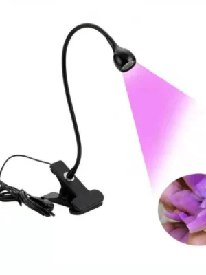 Aquarelle Online Course