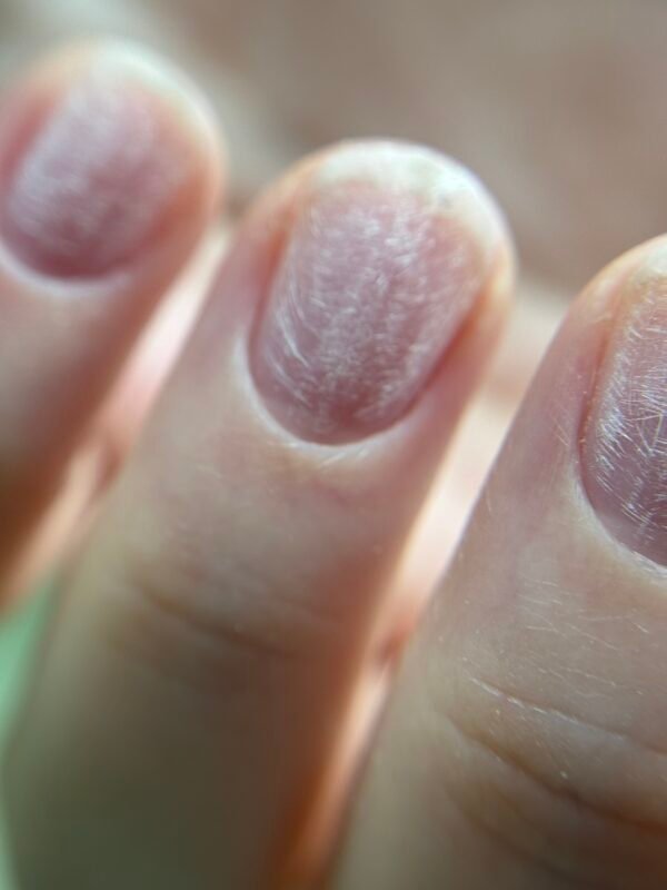 Βασική Εκπαίδευση Online